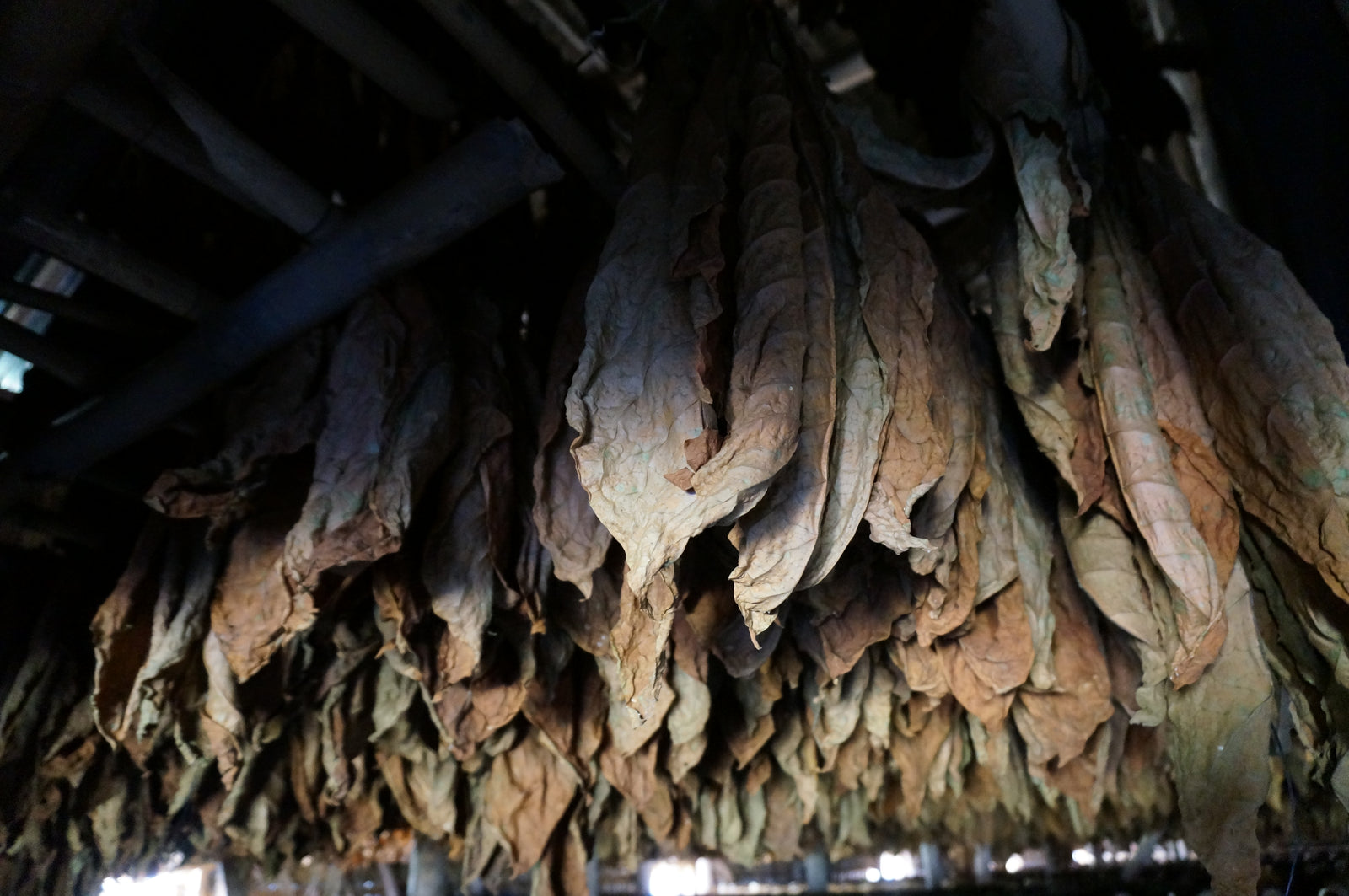 Zigarren,Zigarillos,Humidore,Zigarrenschneider,Zigarrenfeuerzeug,Zigarrenetui