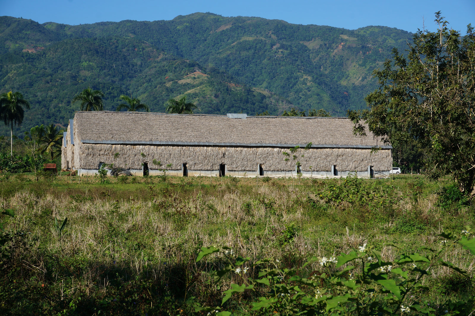 Zigarren,Zigarillos,Humidore,Zigarrenschneider,Zigarrenfeuerzeug,Zigarrenetui
