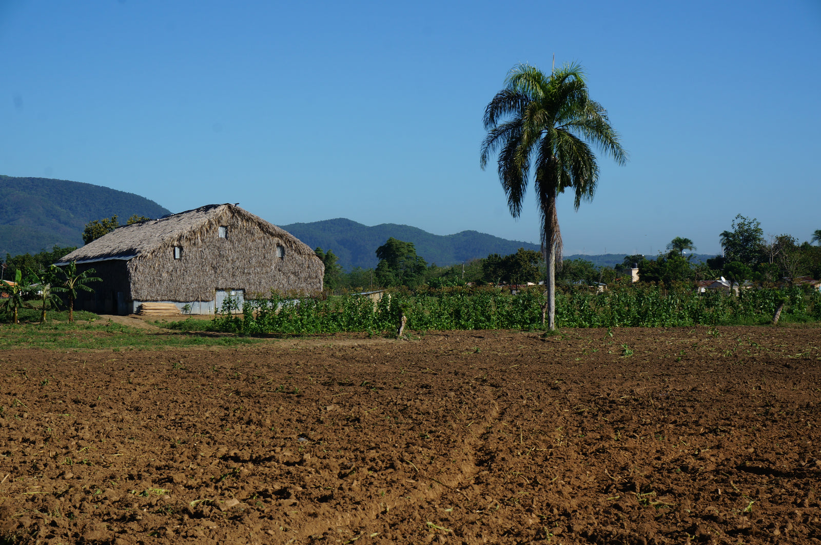 Zigarren,Zigarillos,Humidore,Zigarrenschneider,Zigarrenfeuerzeug,Zigarrenetui